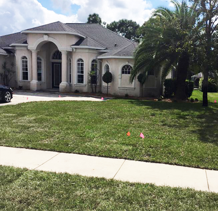 After landscaping with new sod