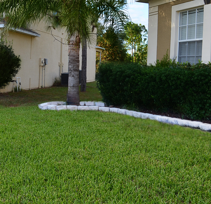 Professional landscape design and installation