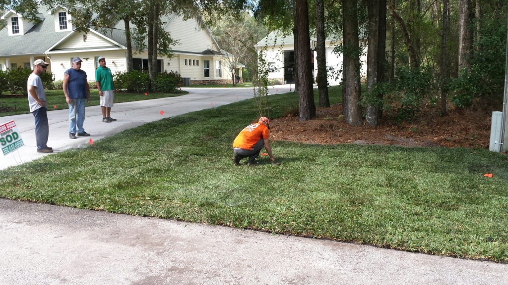 Sod installation in progress with Murphy's Sod team