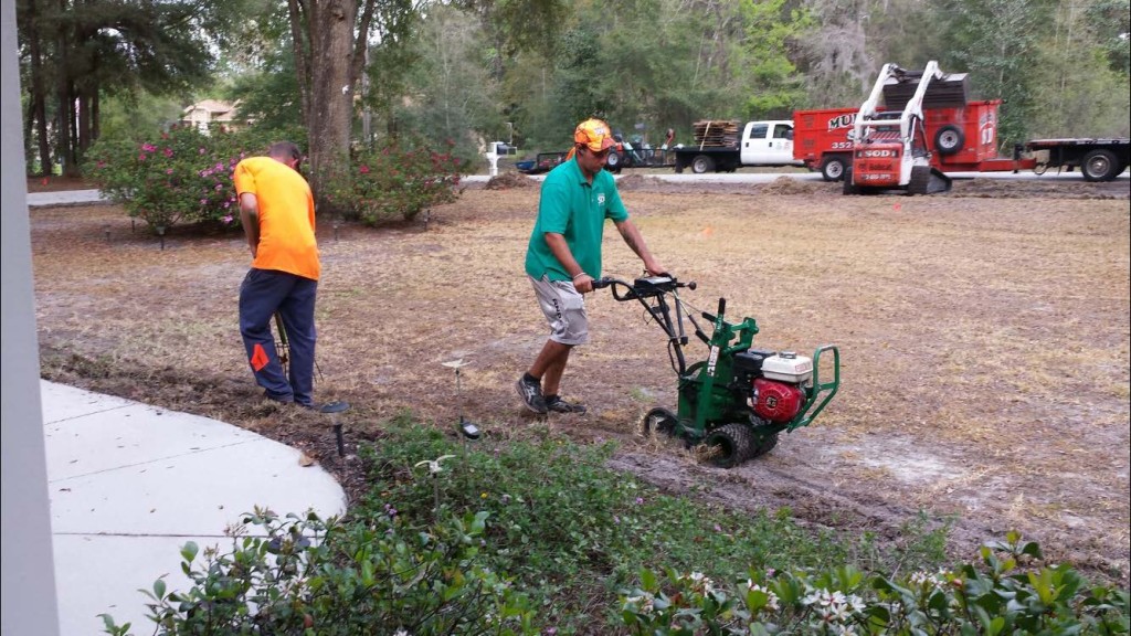 Ground preparation and landscaping work in progress